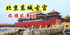 大屌插逼逼网页中国北京-东城古宫旅游风景区